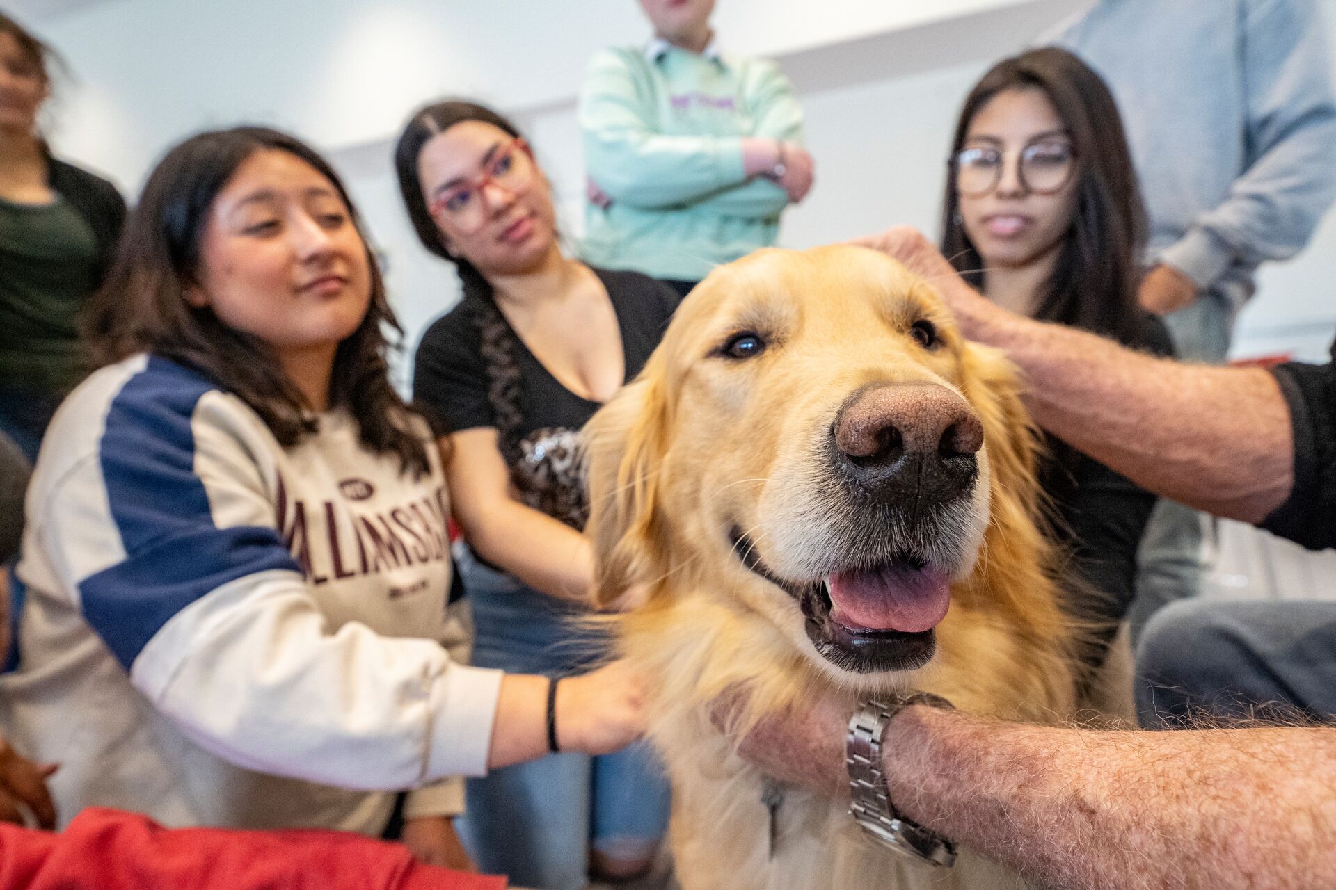 students petting a therapy dog