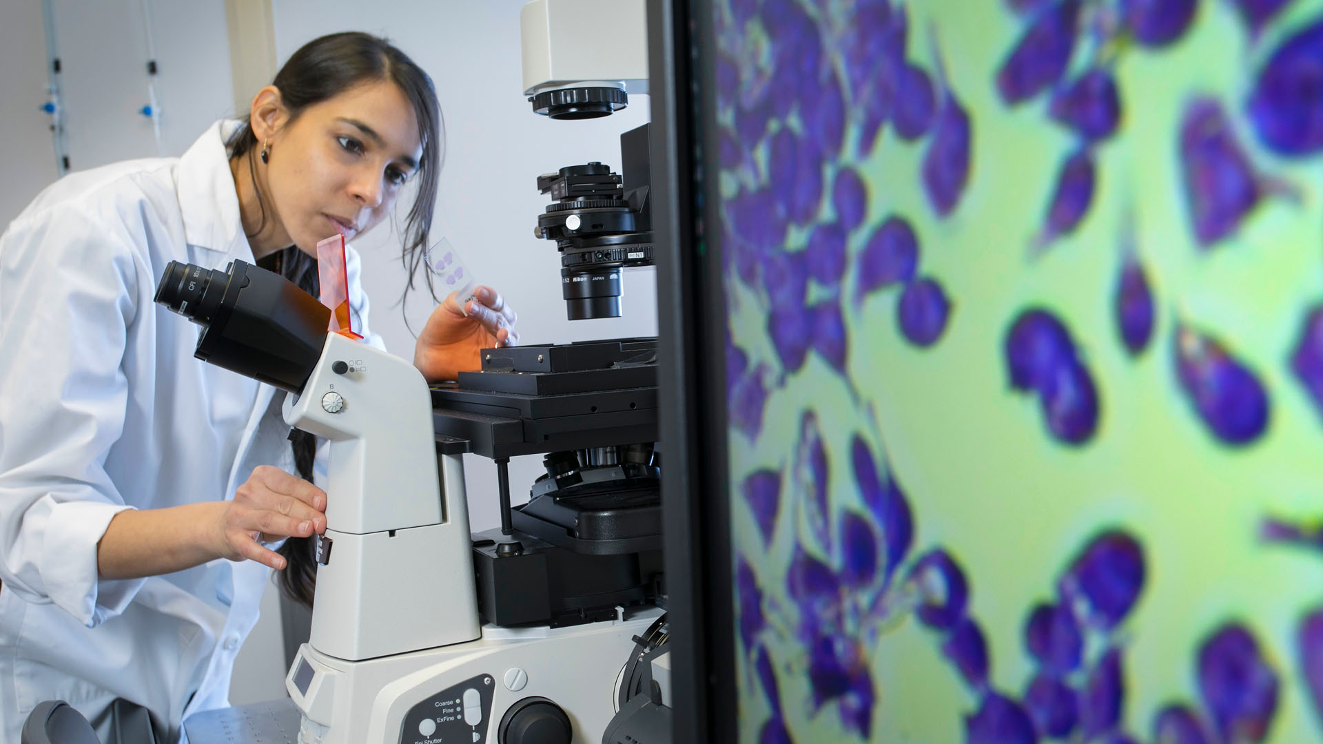 Student in a lab