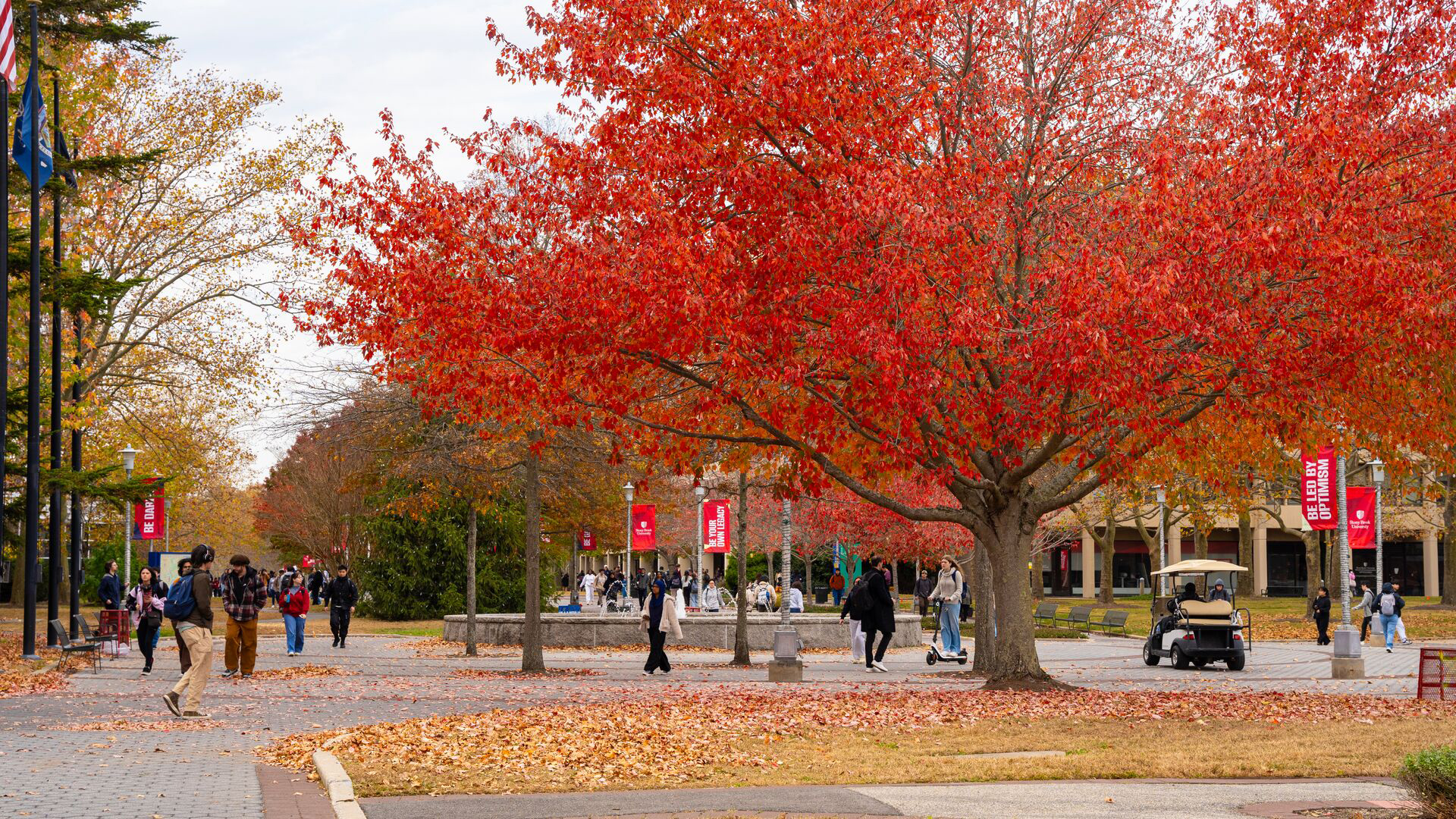 students sitting