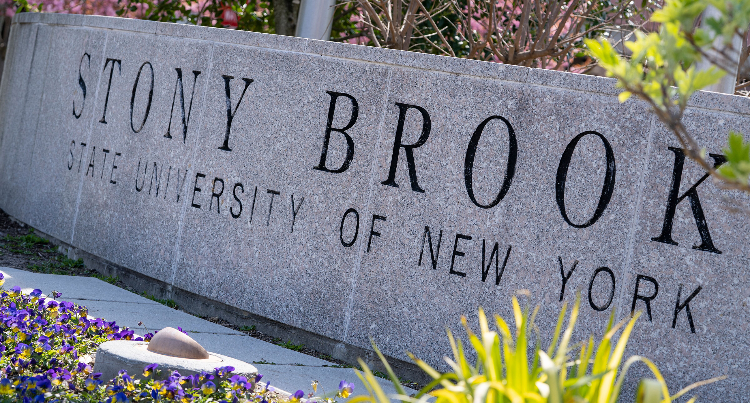 Stony Brook in Spring