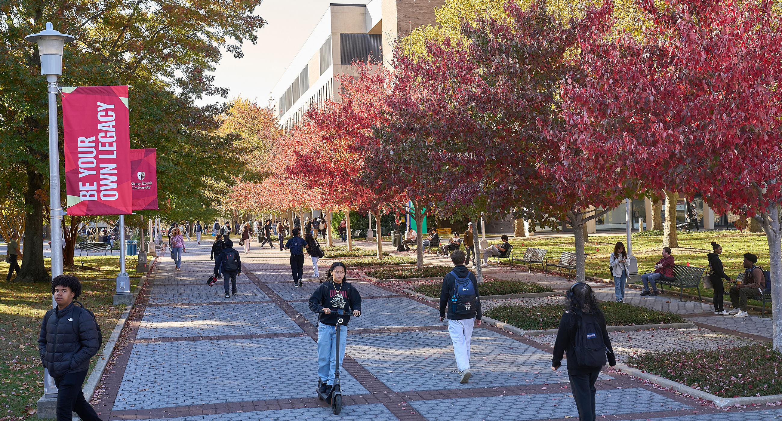 A bird's-eye view of Stony Brook University in the fall.