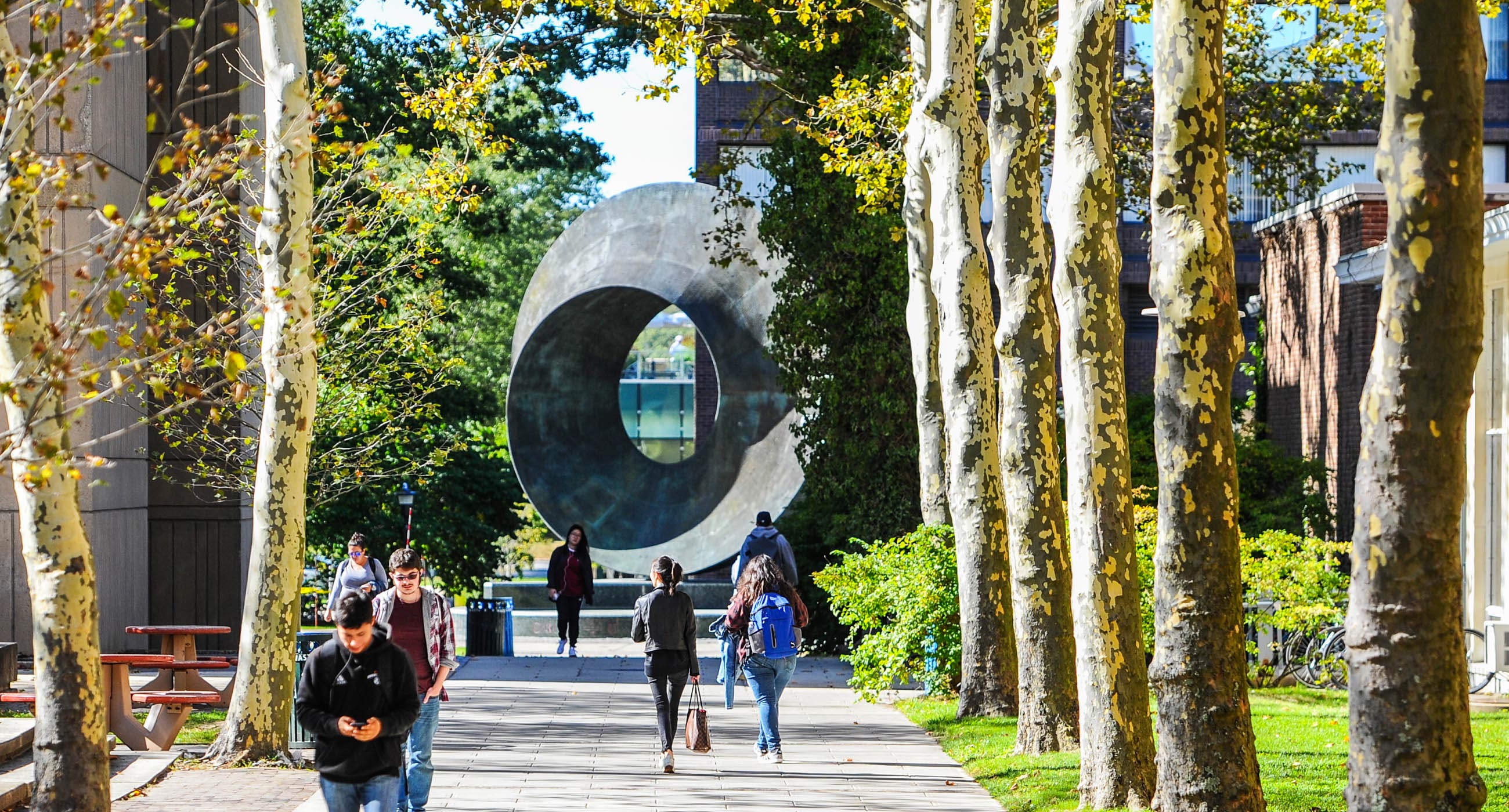 Stony Brook Campus Shot