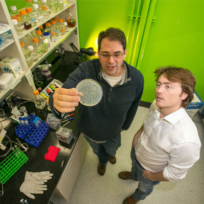 Students in a lab
