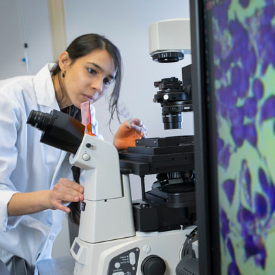 Student working in lab.