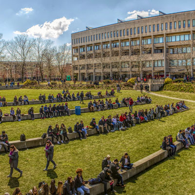 Students sit in clusters on the Staller Steps on a bright sunny day