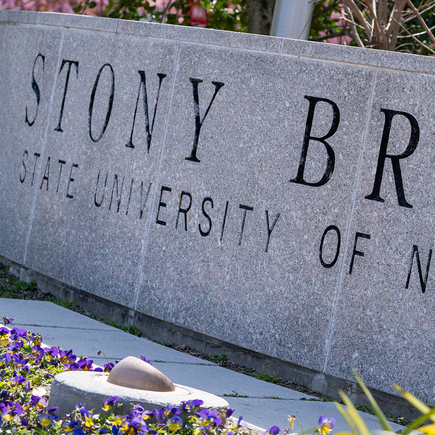 Stony Brook logo.
