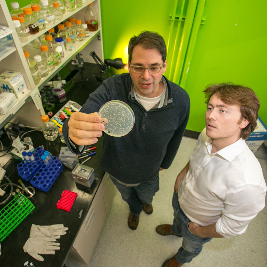 student and professor looking at a slide