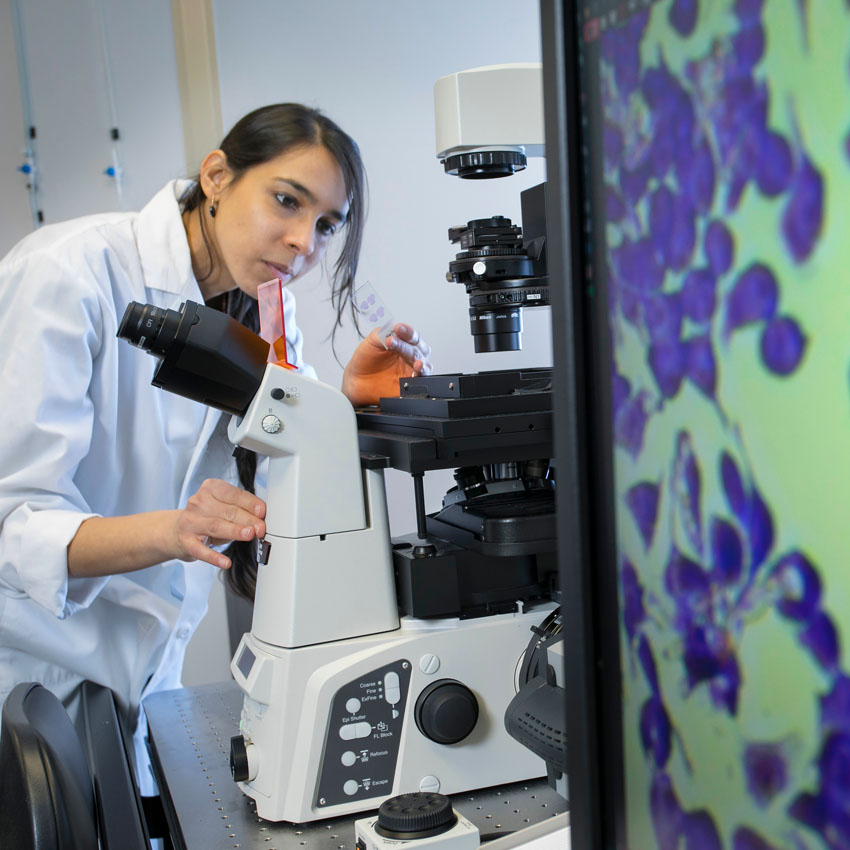 student looking at slide on microscope