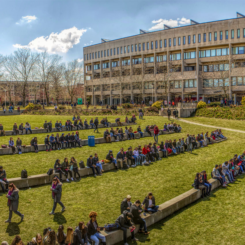 staller steps