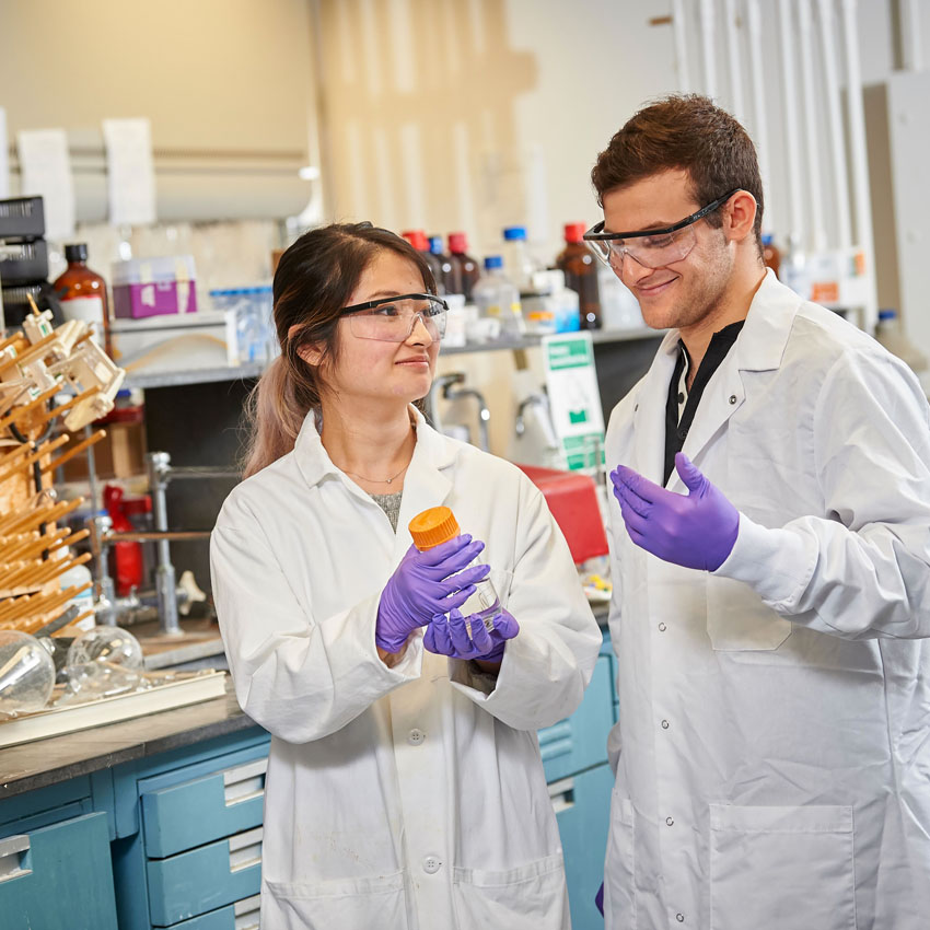 Students working in a lab
