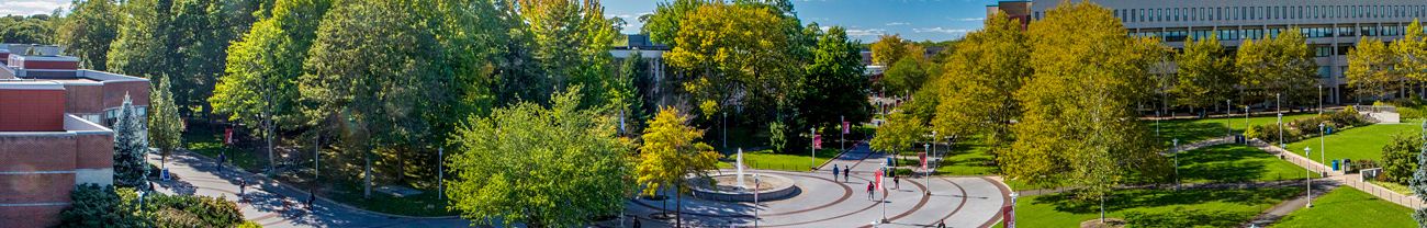 Picture of Stony Brook campus