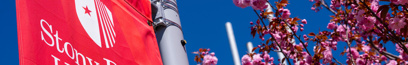 Stony Brook University banner blue skies and cherry blossoms in the background