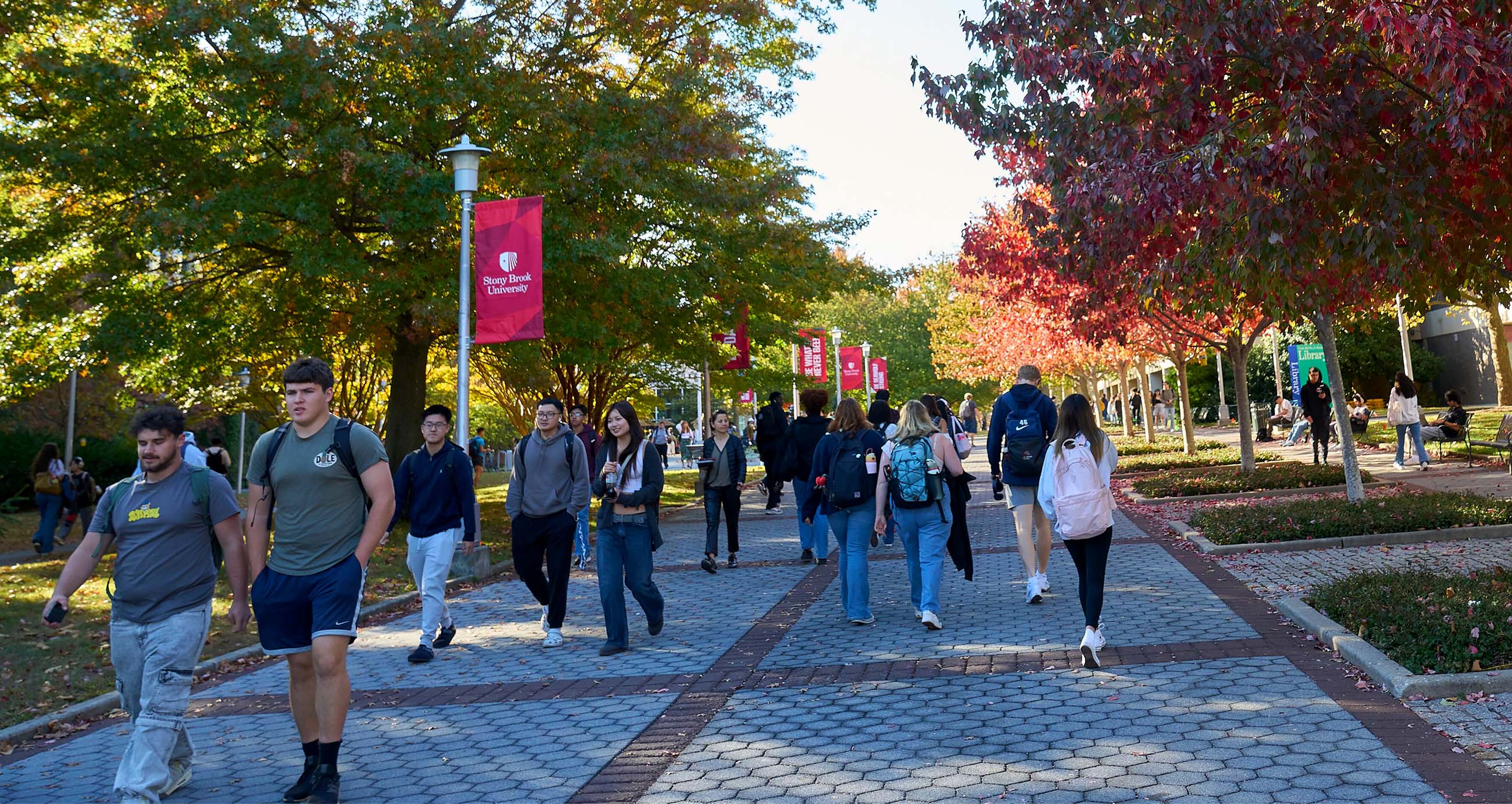 Students walking on Stony Brook's campus during fall