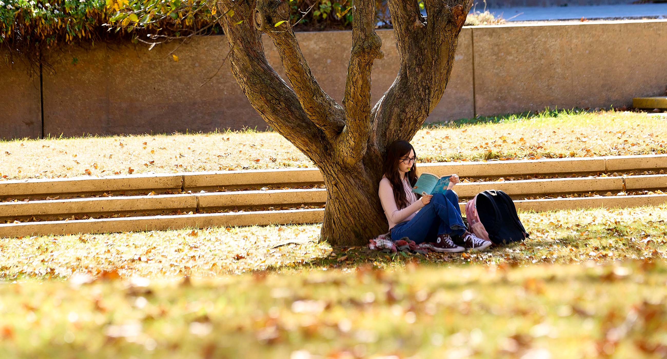 Student sitting on the ground leaning against a tree reading a book