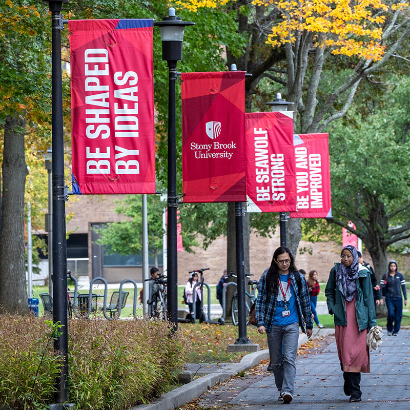 students walking on the mall