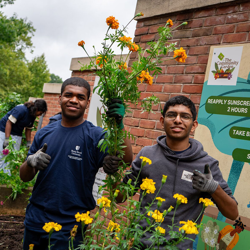 community garden work
