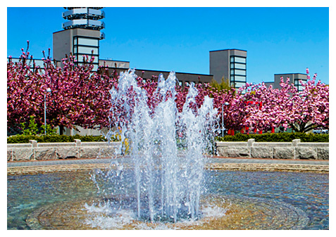 Campus fountain