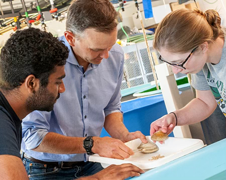 Three graduate students working together on a research project