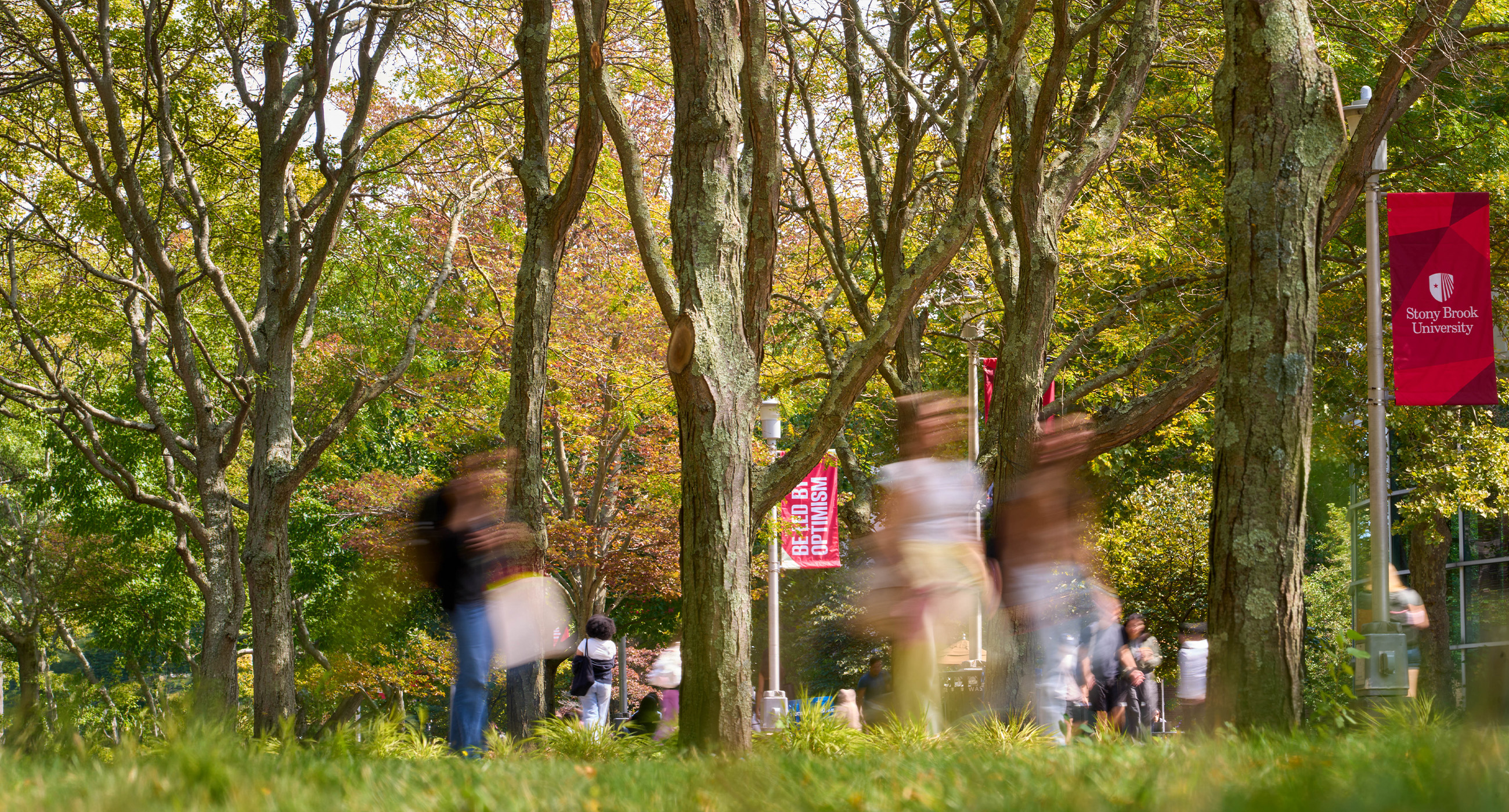 Motion blur photo of campus