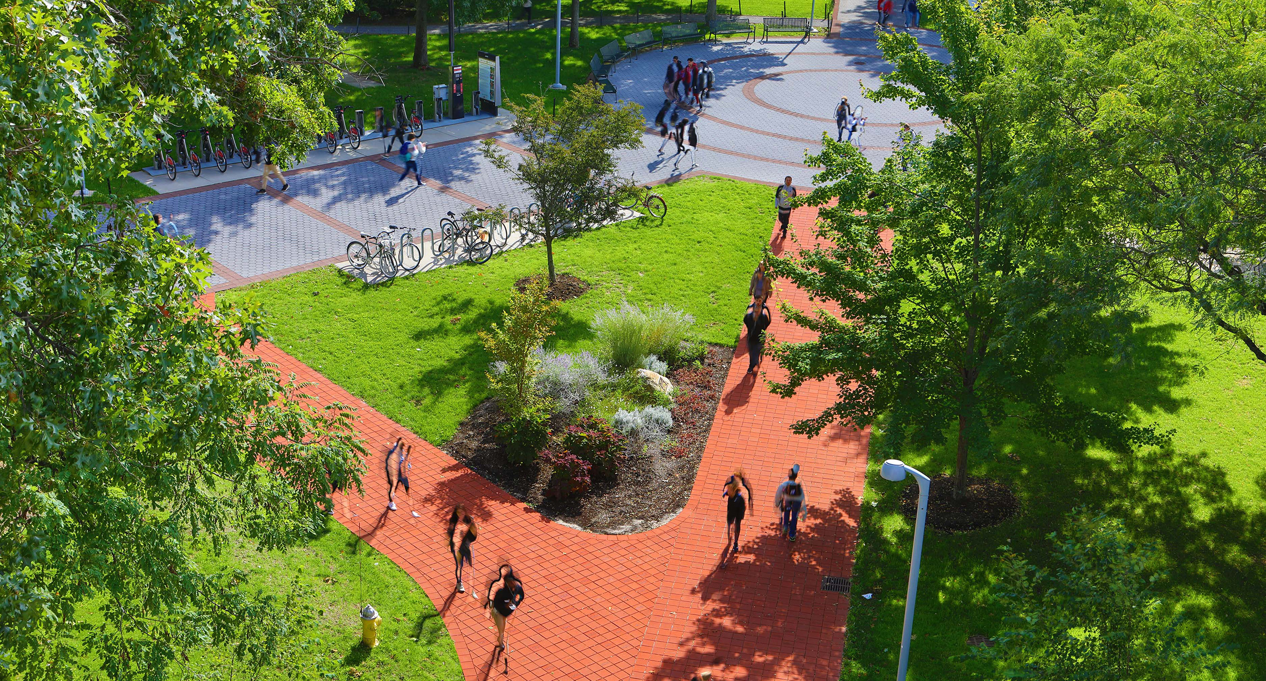 Stony Brook Campus Fall Day