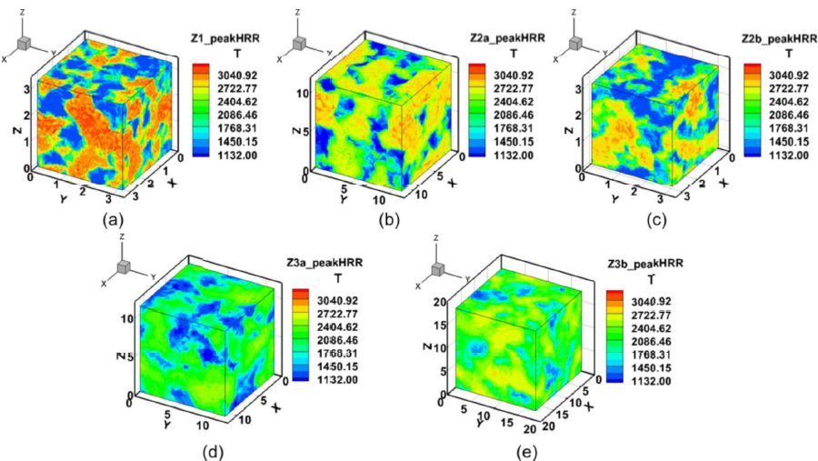 Figures in supersonic combustion and detonation