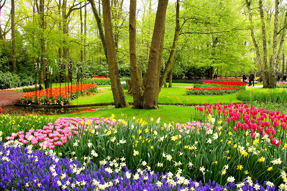 Holland