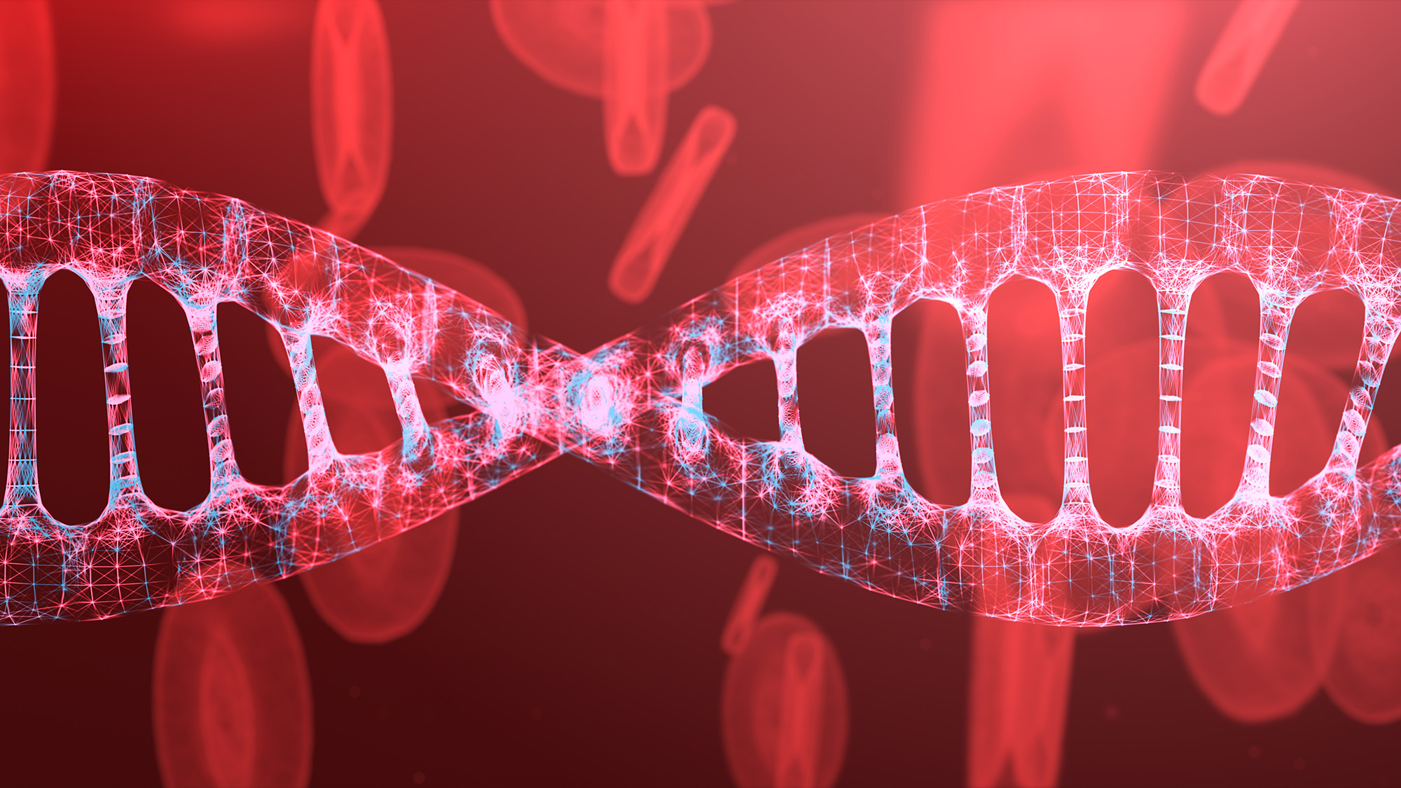 Image of DNA polymer
