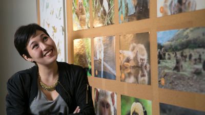 Student researcher considering photographs of monkeys