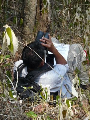 Researcher conducting field observations of primates at Phy Khieo WS Thailand