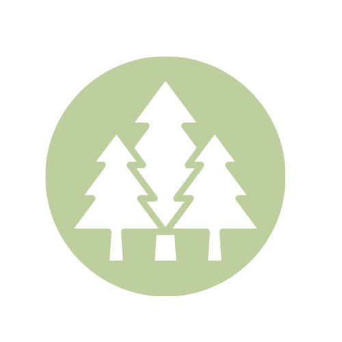 white tree icon over celery green background