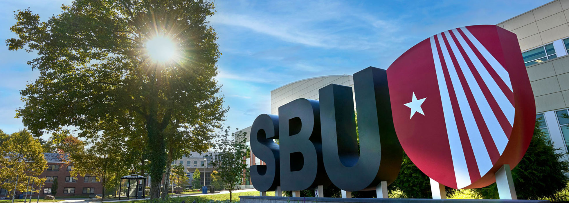 Sunlight shines dazzlingly through the shadows of leaves on the Stony Brook University logo.