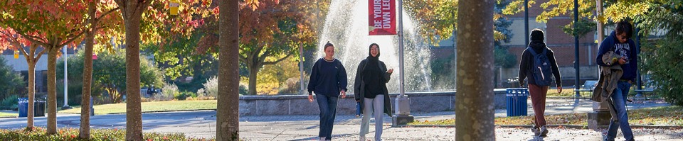 Students walking in front of fountain and trees