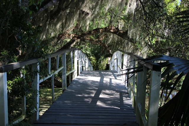 white bridge with foliage surrounding it