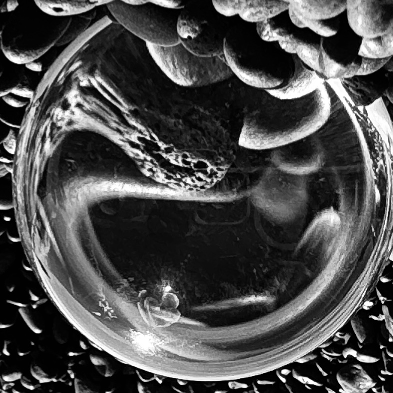 black and white closeup of clear reflective ball in the middle of rocks