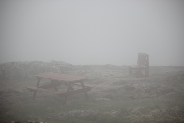 foggy picnic table scene