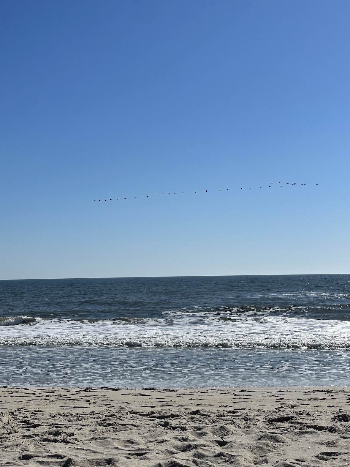 Shoreline of ocean