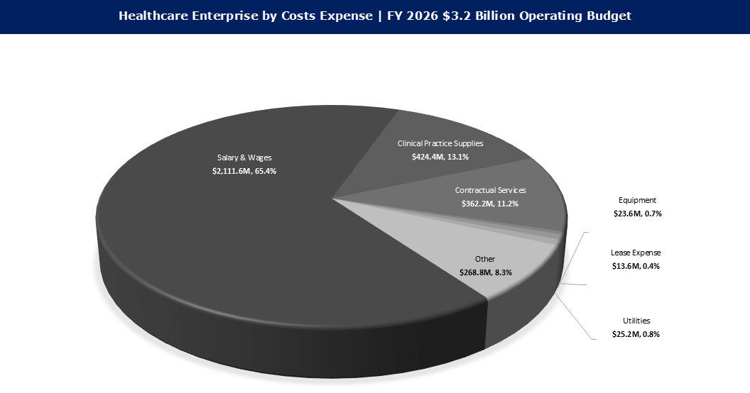 FY 2026 Expenses Healthcare Enterprise Costs by Expense