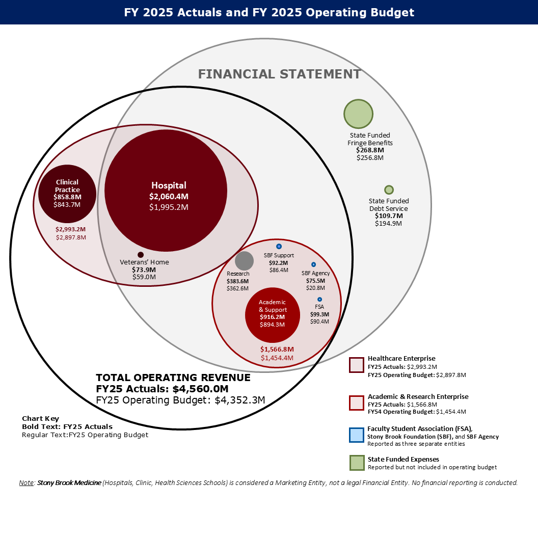 FY25 Actuals_vs_FY25 Budget