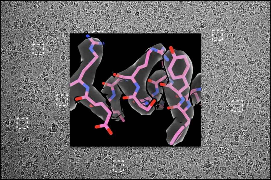 cryoEM image and data