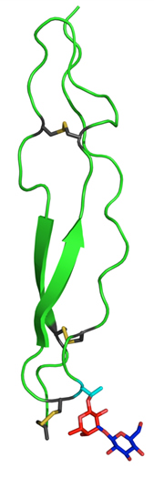 Stick and string model representing a protein molecule
