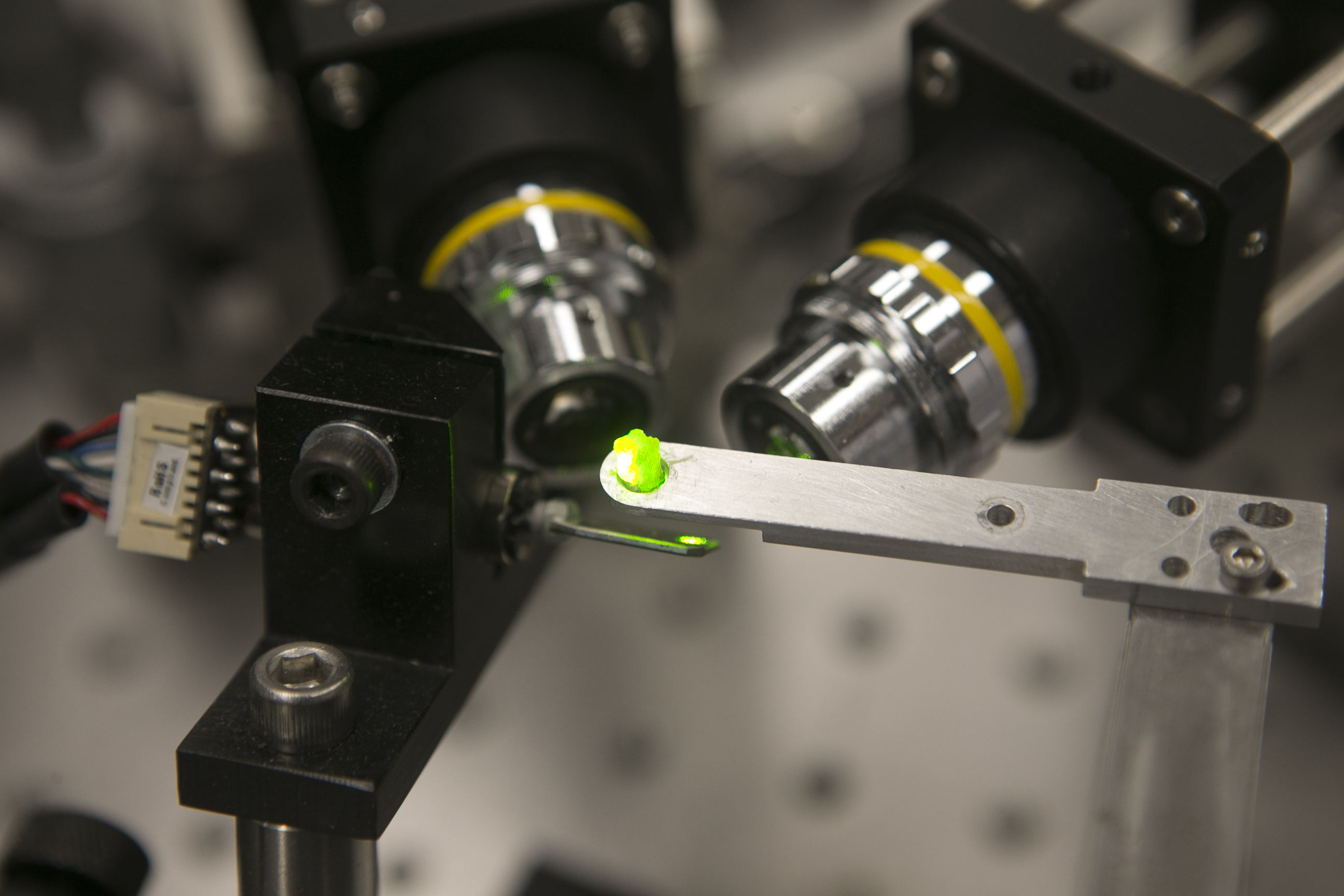 fluorescent sample oberserved with two microscope obejctives