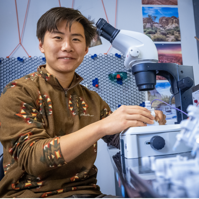 An undergraduate student using a microscope