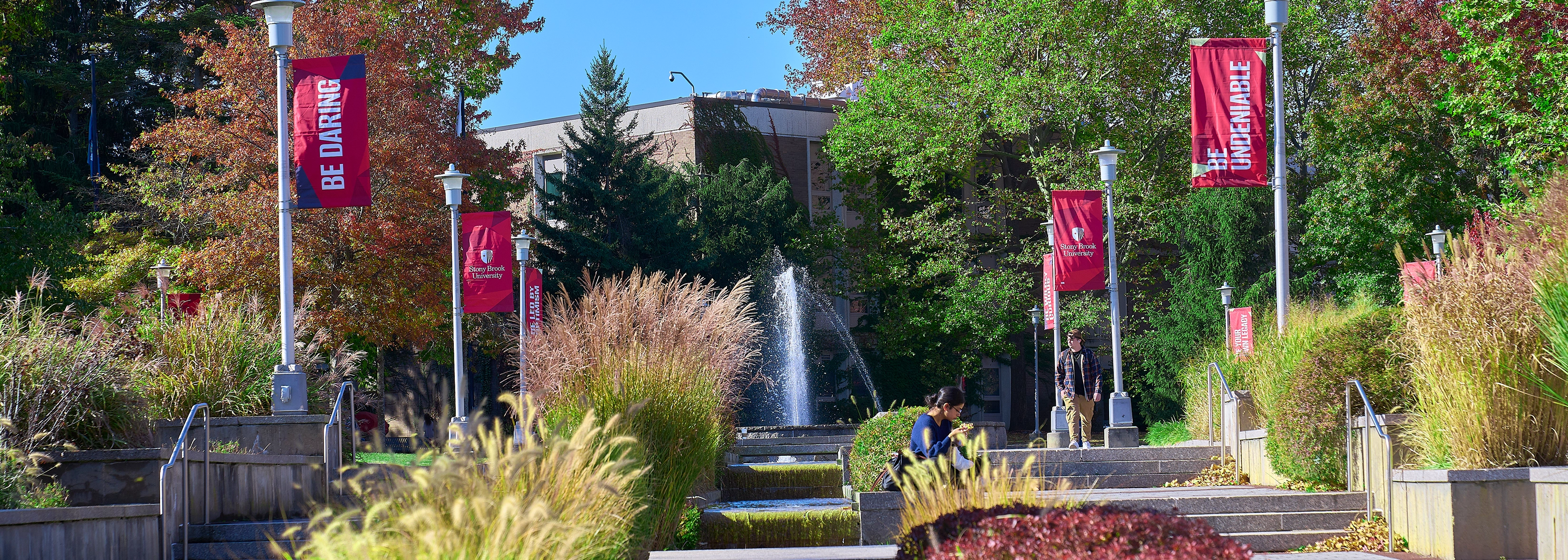 stony brook university campus