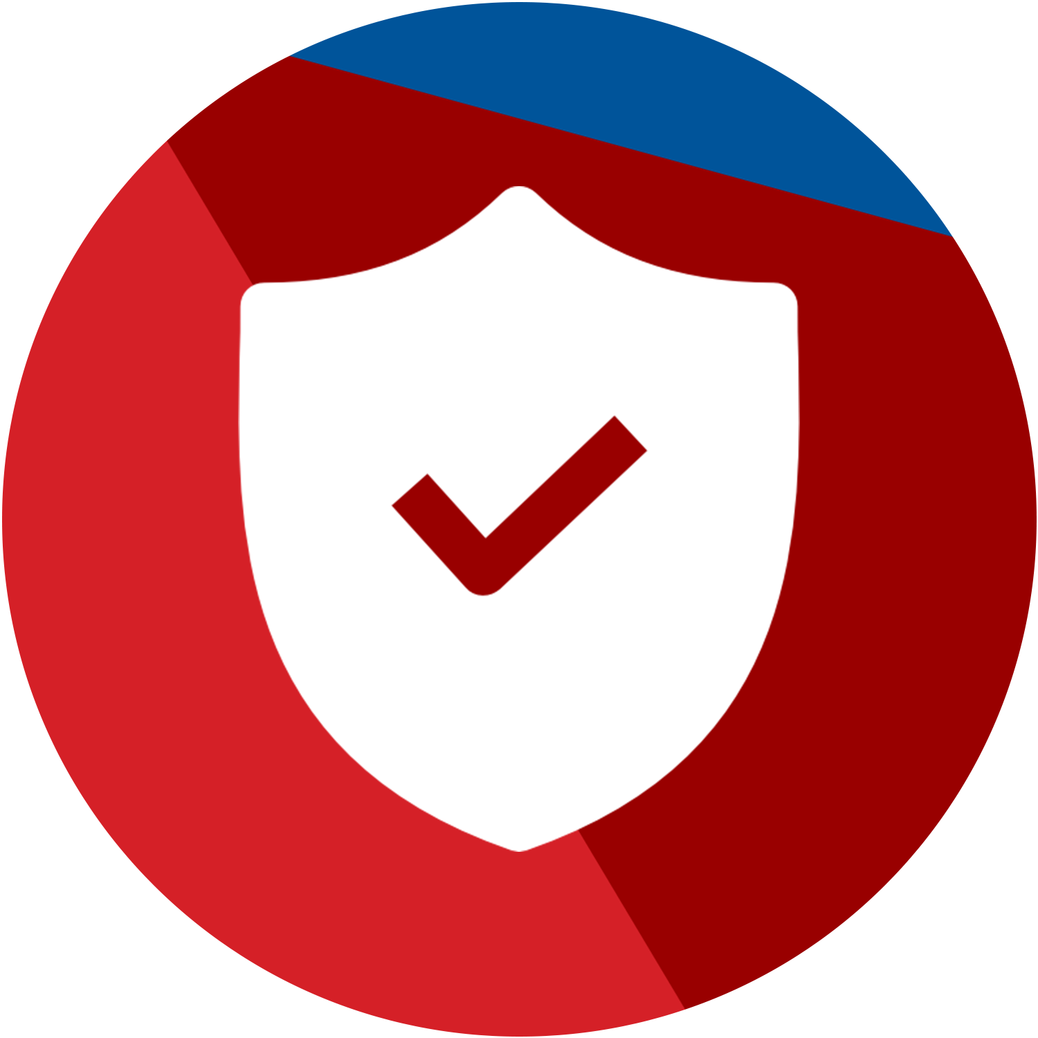 shield with check mark Icon