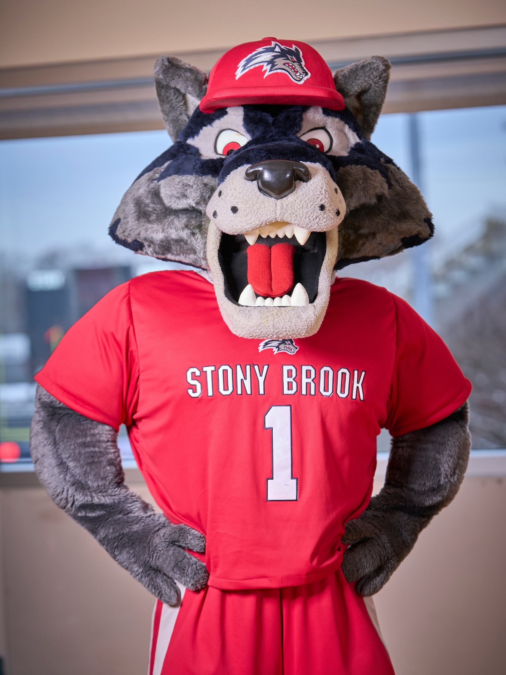 Headshot of Wolfie Seawolf as a placeholder