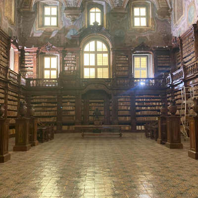 Fondazione Banco di Napoli where valuable insights were gathered in the literary