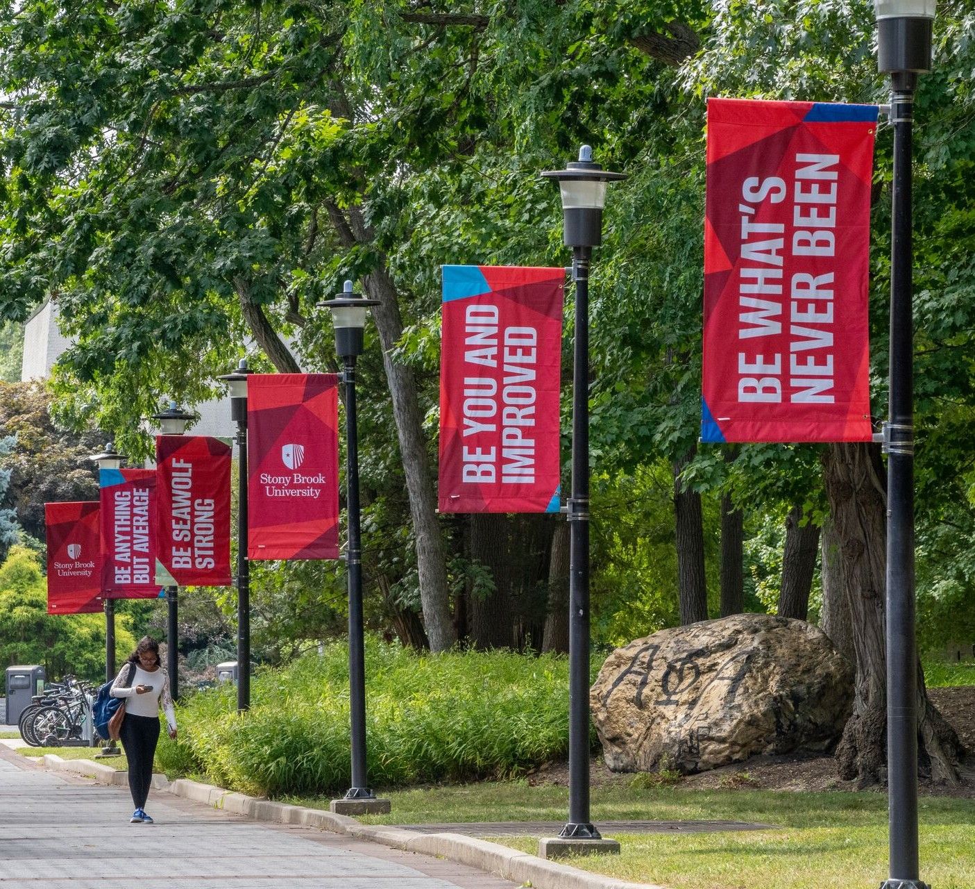 Campus walkway lined with red Stony Brook University banners, trees, and a person walking along the path.