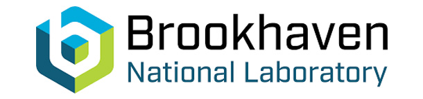 logo brookhaven labs