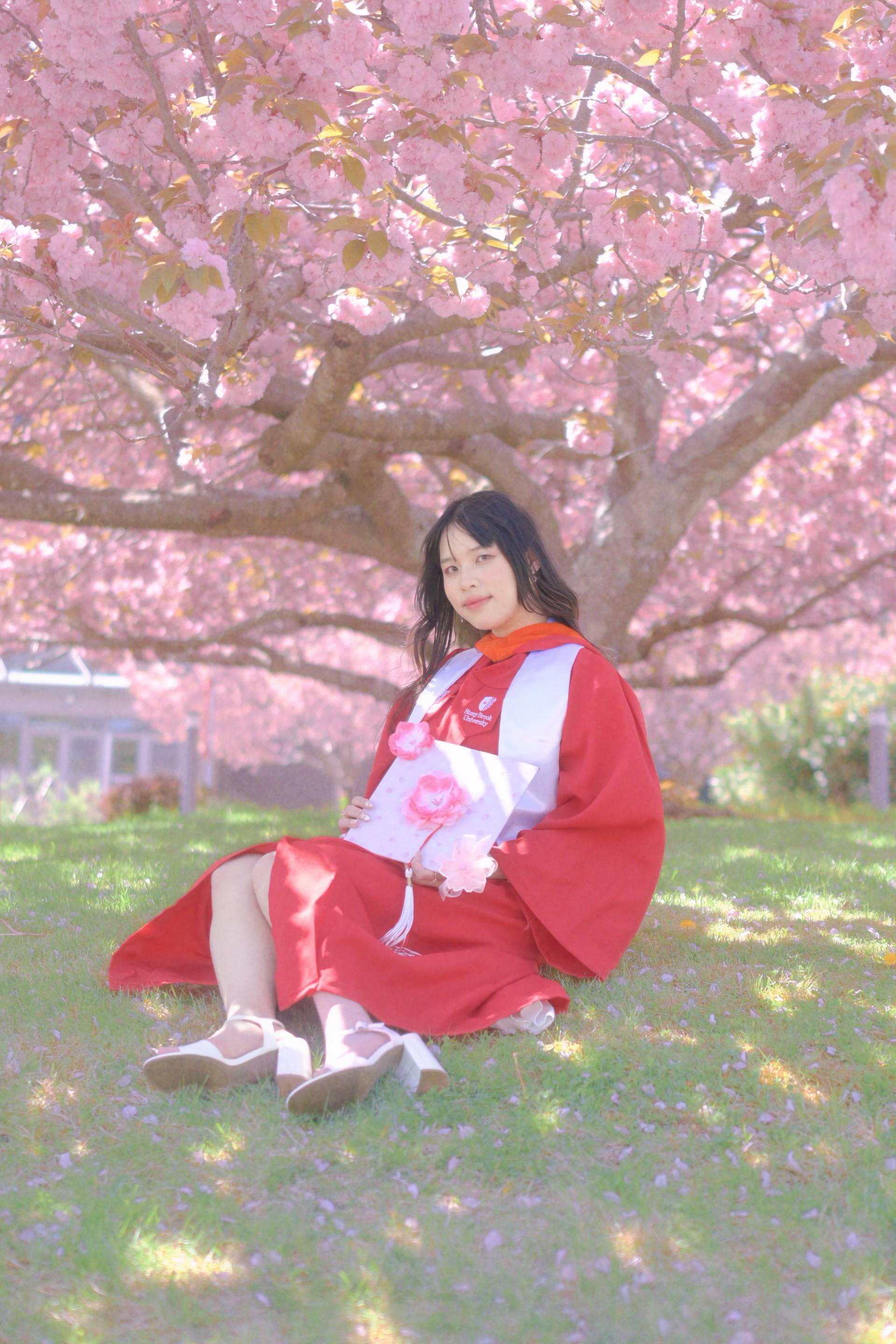 Hillary in commencement regalia sitting under a cherry blossom tree.