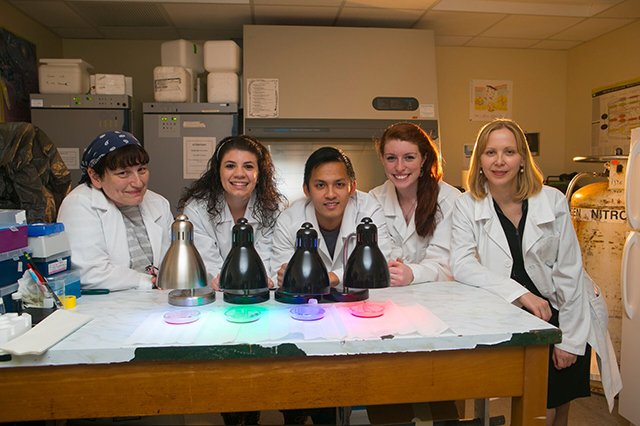 Professor Miriam Rafailovich and four students in white lab coats in front of  a lab table with petri dishes